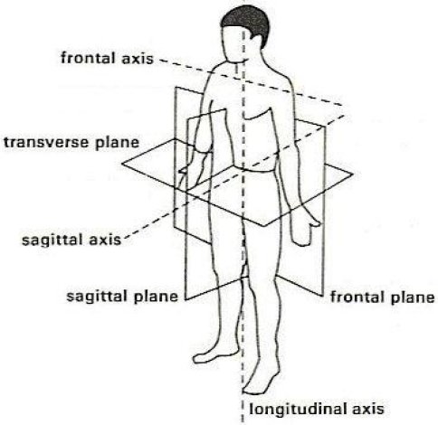 <p>When defining levers, A means</p>