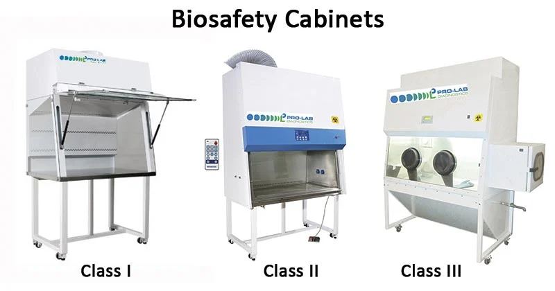 <ul><li><p><strong>Class I cabinet</strong></p><ul><li><p>ventilated cabinet for personal and environmental protection</p></li><li><p>similar airflow pattern to a fume hood and has a HEPA filter</p></li></ul></li><li><p><strong>Class II cabinet</strong></p><ul><li><p>open front with inward flow</p></li><li><p>some air is exhausted and some is filtered and pushed back into the cabinet</p></li></ul></li><li><p><strong>Class III cabinet</strong></p><ul><li><p>totally enclosed and ventilated, also negative pressure</p></li><li><p>leak tight with attached rubber gloves</p></li><li><p>materials are sterilized before leaving the cabinet</p></li></ul></li></ul><p></p>
