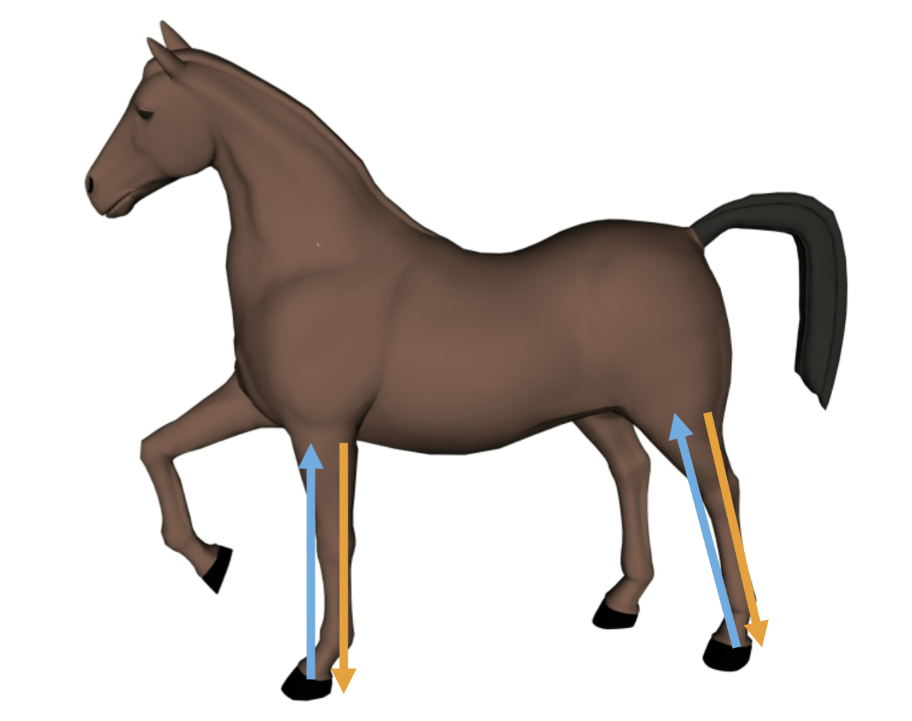 <p>What direction is the orange arrow pointing?</p>