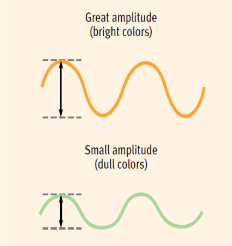 <p>The wave&apos;s height, measures the intensity of the wave. Measured from the peak of the wave to the trough of the wave (top to bottom). *Amplitude in light determines the brightness of the color. *Amplitude in sound determines the volume.</p>