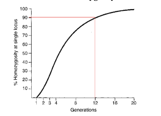 <p>Domestication</p>