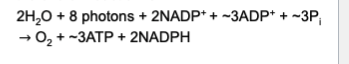 * around 12 protons move from the stroma into the thylakoid lumen per 4 electrons passed (1 O2)
  * delta G = 2.3RT(pH)+ZF(delta lamba)= -17kj/mol
* Reaction: →