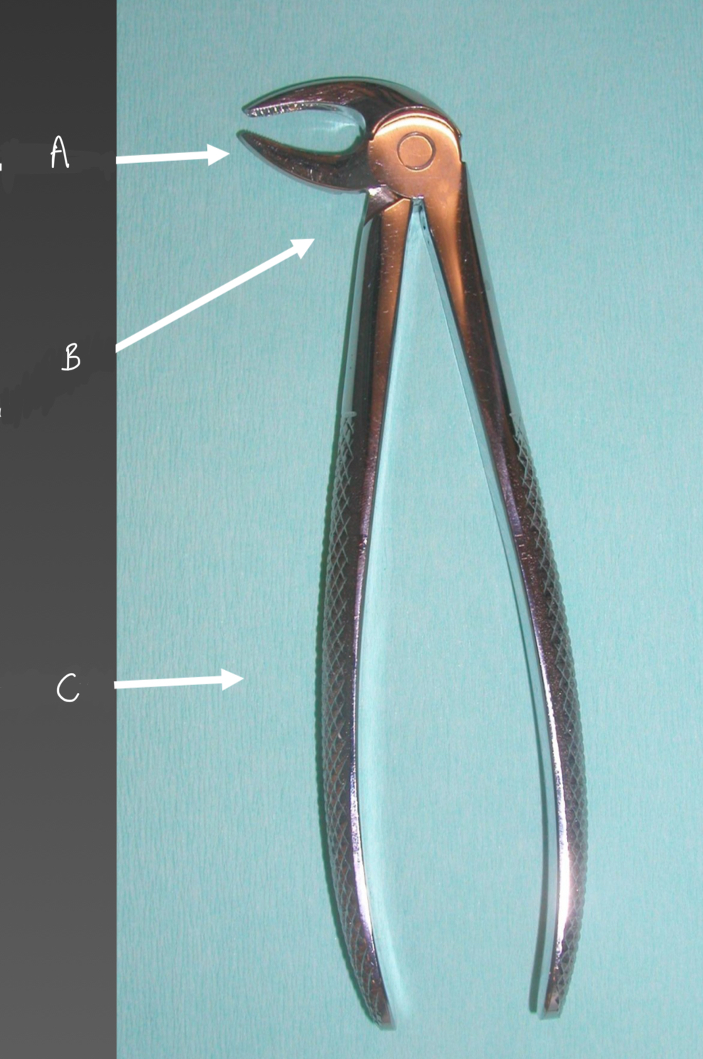 <p>What are the parts of a simple surgical instrument?</p>