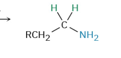 <p>Reduction of Nitriles</p>
