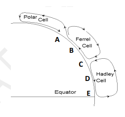 On the diagram of the Earth’s Northern Hemisphere on the right, where (A-E) is dry air sinking and warming, causing low rainfall?