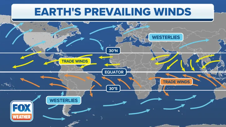 <p>Winds that travel from the subtropical highs toward the equator.</p>