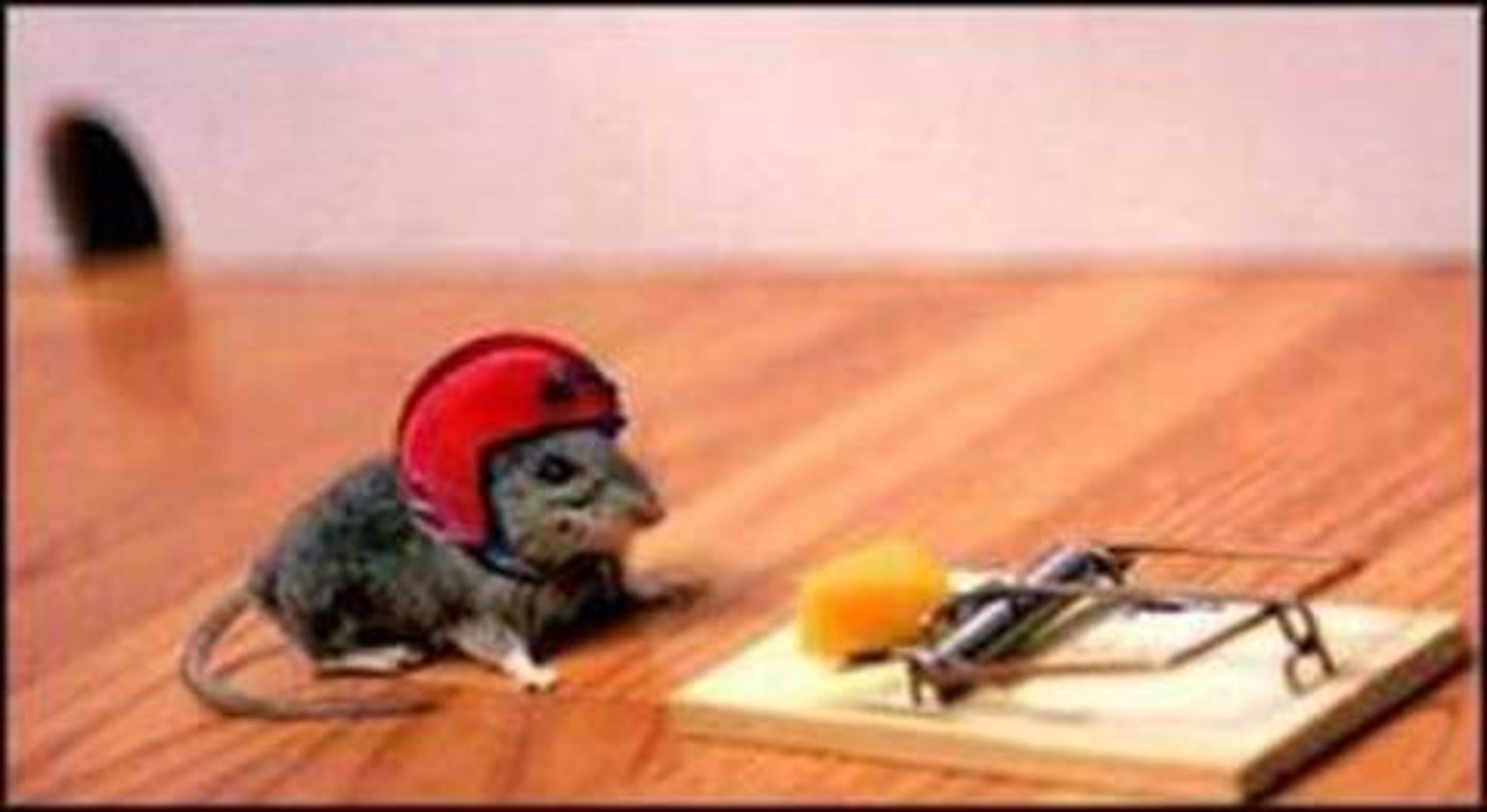 <p>/dʒuˈdɪʃəsli/: in a way that shows good judgment : một cách khôn ngoan, hợp lý </p><p>Eg 1: Resources must be judiciously allocated to ensure efficiency. (Các nguồn lực phải được phân bổ một cách hợp lý để đảm bảo hiệu quả.) </p><p>Eg 2: She spent her money judiciously to avoid waste. (Cô ấy sử dụng tiền một cách khôn ngoan để tránh lãng phí.)</p>
