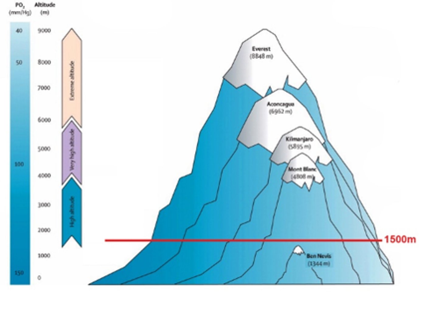 <p>height above sea level</p>