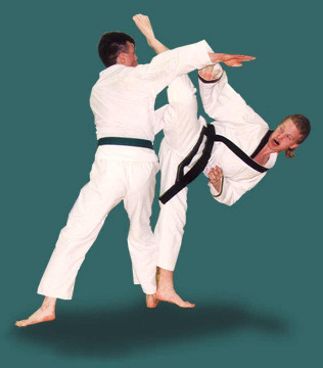 <p>to do karate</p>