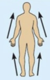<p>Closer to the origin of the body part or point of attachment.</p>