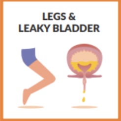 <p>legs and leaky bladder</p>