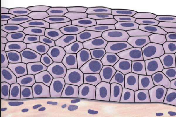 <p>What is this?</p>