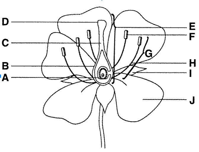 <p>Label the parts </p>