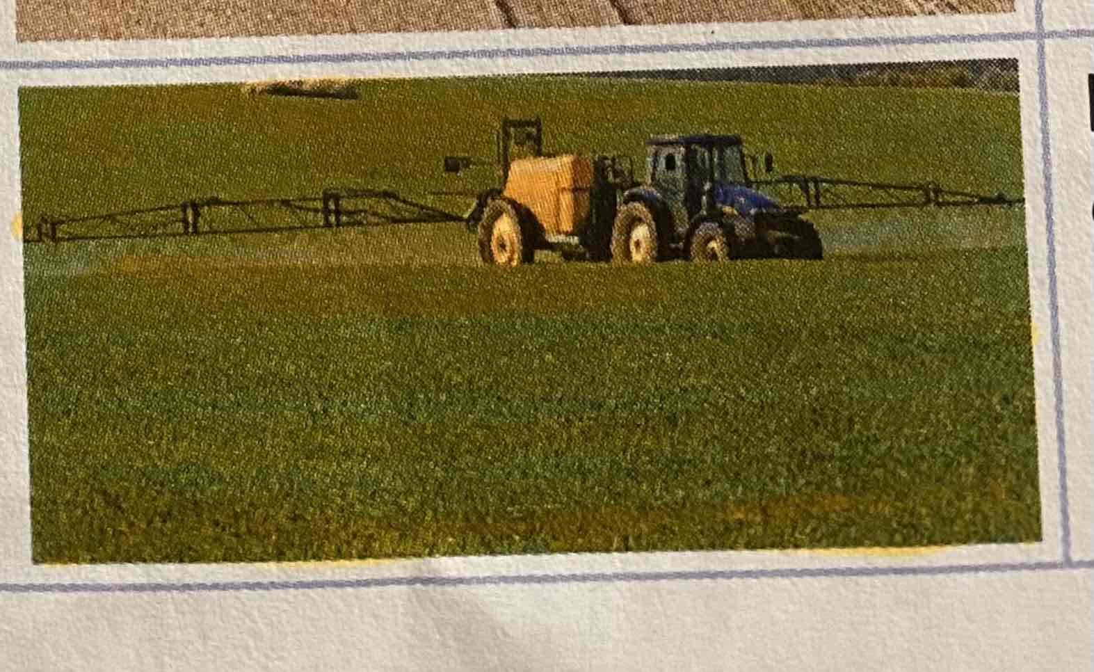 <p><span>L'ingestion de pesticides peut entraîner la mort de plusieurs micro-organismes, insectes et petits animaux utiles à l'équilibre des sols.</span></p>