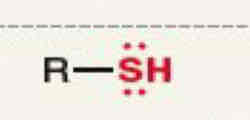 <p>What functional group is this</p>