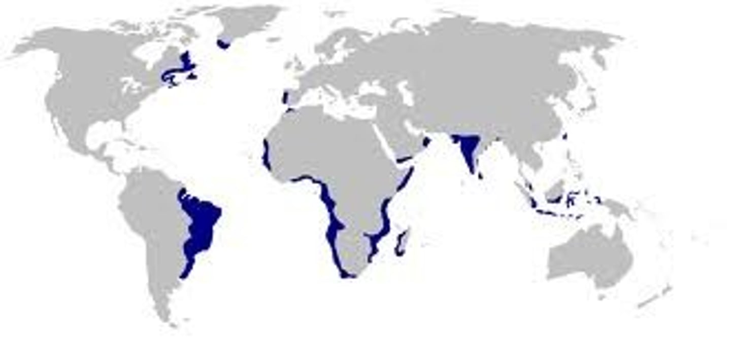 <p>This is the type of empire established by the Portuguese in the Indian Ocean trading arena./The Portuguese sought to control the commerce in the area and did not want to control large areas of land.</p>