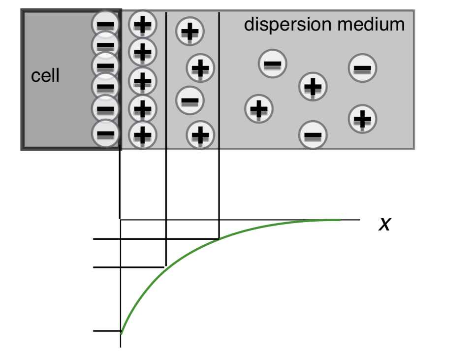 <p>The surface charge of dispersed particles leads to formation electric potential difference (voltage) with respect to the bulk of the medium. The absolute value of the potential is maximum at the surface and it decreases away from the surface. The potential at different points is numbered from 1 to 4. Please Abel the 4 points on the graph.</p><p>E) surface potential φ0</p><p>F) potential of adsorption layer φa</p><p>G) Zeta potential ζ</p><p>H) diffuse potential φd</p>