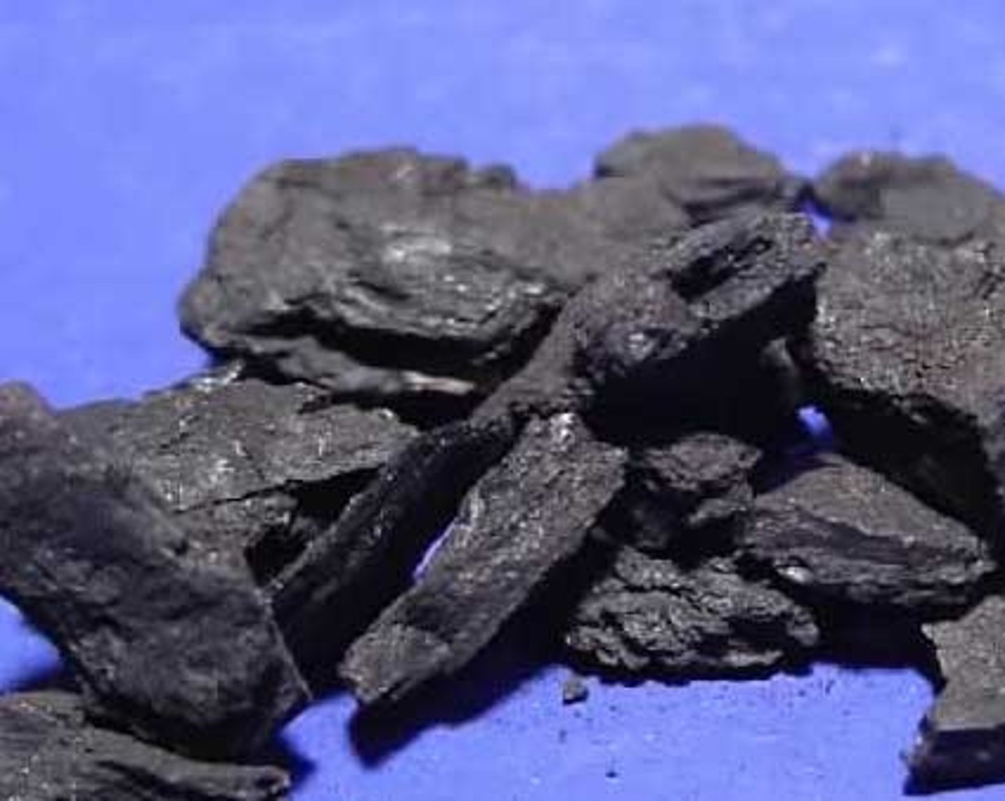 <p>-Lowest rank of coal, brownish black, visible plant material, crumbly, organic rock.</p>
