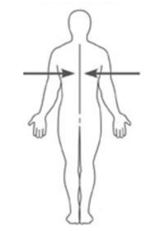 <p>closer to the mid-sagittal line</p>