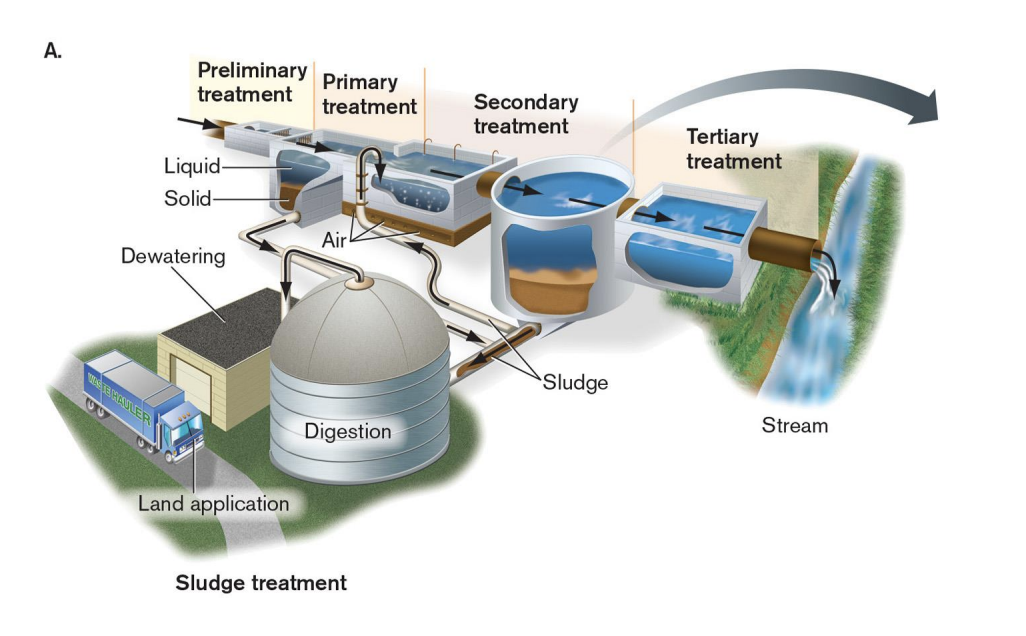 <p>consists of removal of solids by passing it through a series of screens and letting the effluent stand for several hours to let the solids settle to the bottom</p>