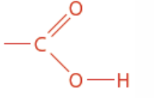 <p>Isomer of ester</p><p>Carboxyl functional group</p><p>Ends in anoic acid</p><p>CnH2n+1COOH</p>
