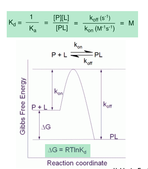 <p>Varies more widely than K<sub>d</sub></p><p><span>A <strong>small</strong> k<sub>off</sub> value is desirable as it will increase a drug’s <strong>residence time</strong>, which has been correlated with efficacy</span></p>