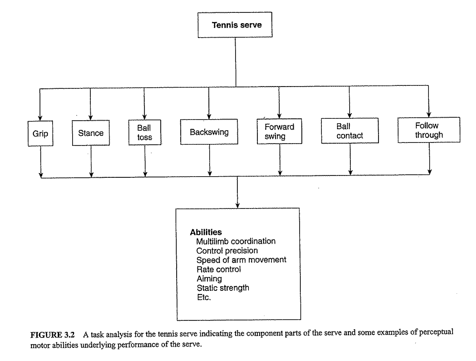 -multilimb (drawing circles/lines)
-abilities underlie performances (1 single performance)
-many motor abilities/skill