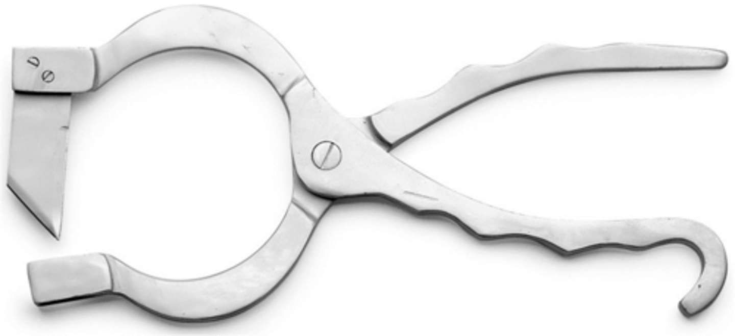 <p>To cut the scrotal sac for testicle exposure</p>