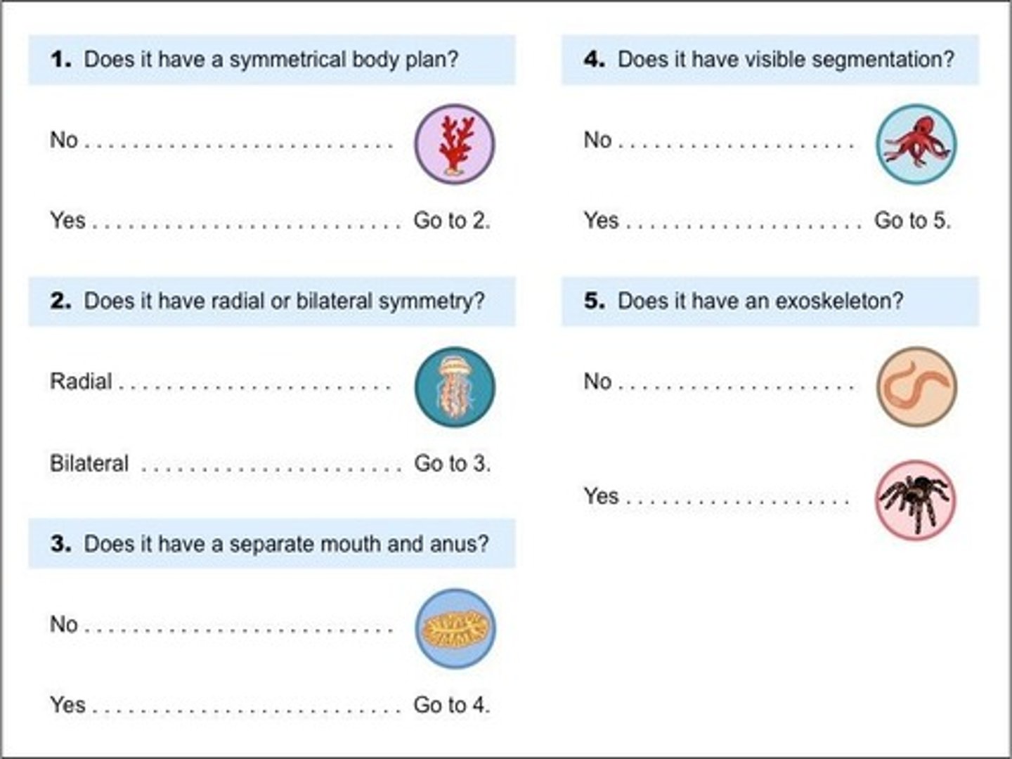 <p>A two-choice identification tool for organisms.</p>