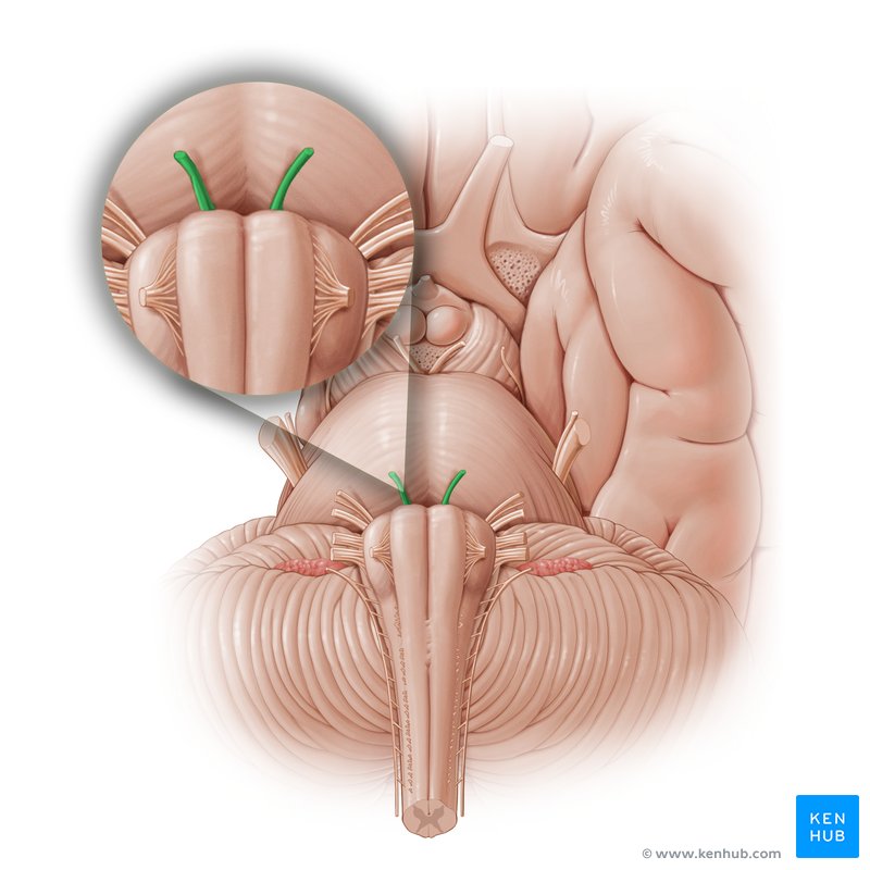 <p>what is this structure?</p>