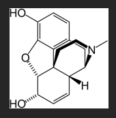 <p>is morphine acidic or basic? why? </p>