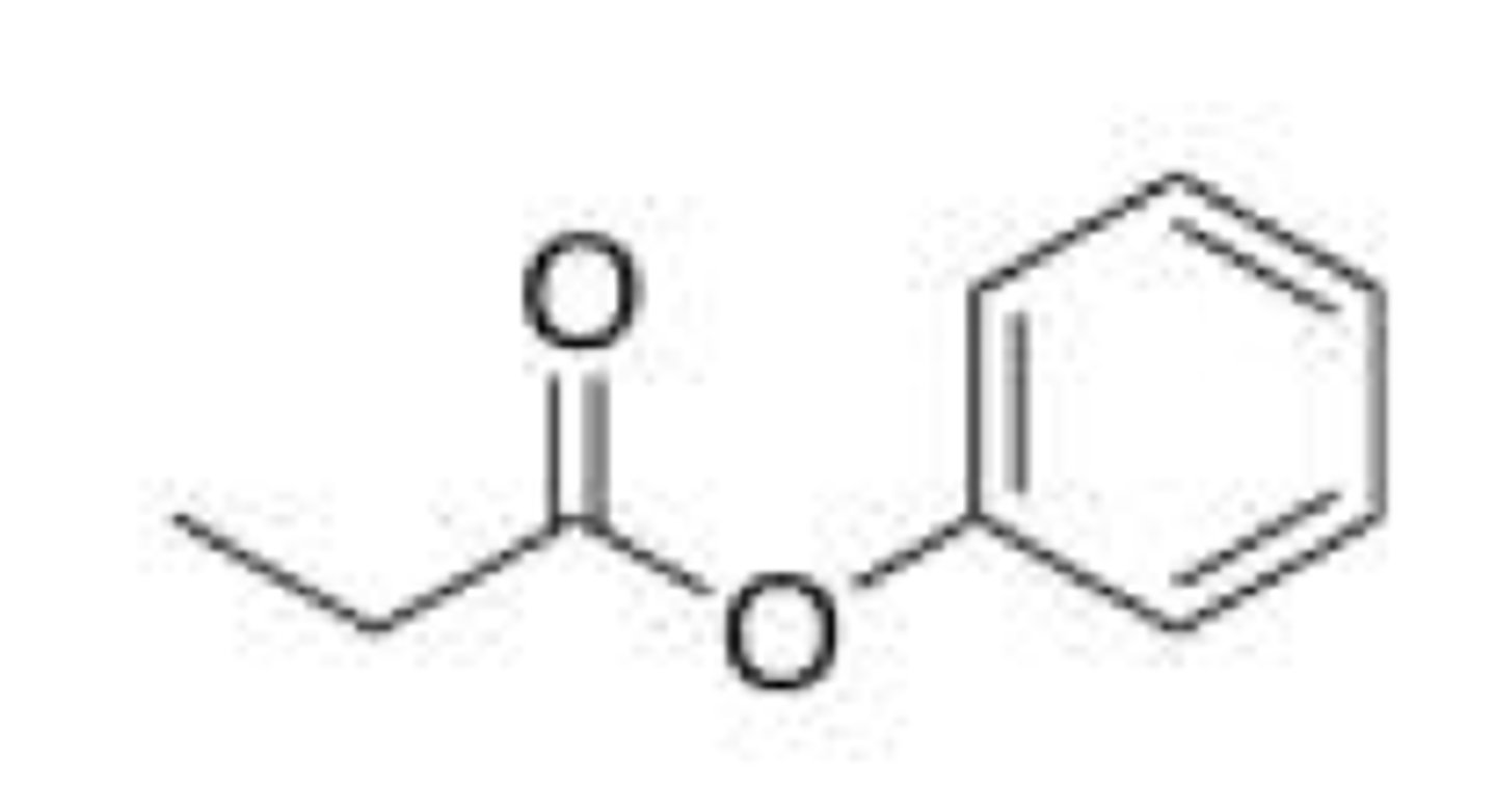 <p>B</p>