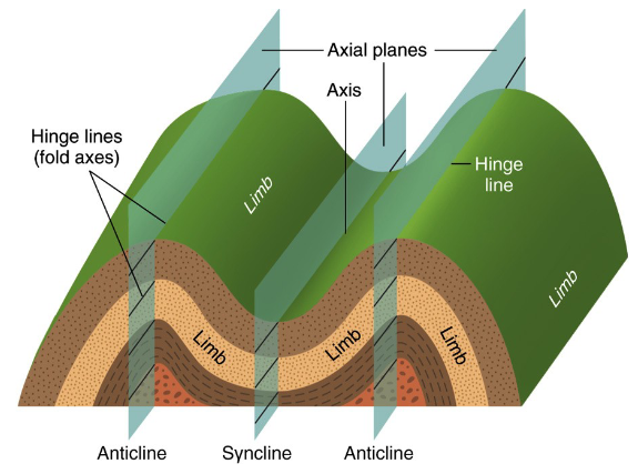 <p>top of arch, upfolded</p>
