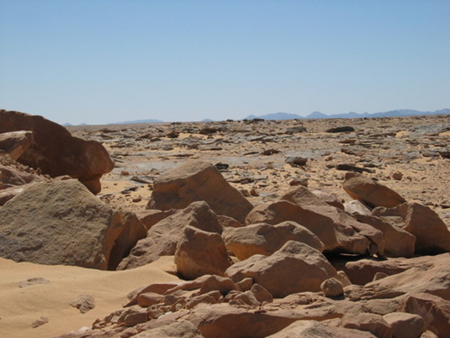 <p>cold and unfriendly silence, typically expressing deep disapproval or hostility (sự im lặng đáng sợ)</p>