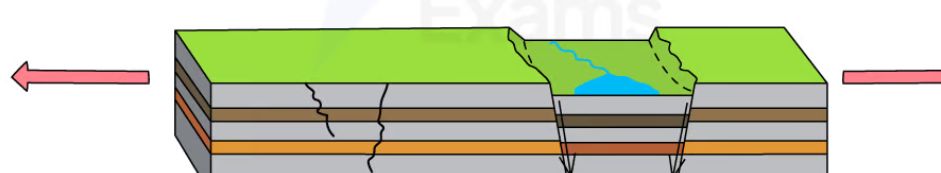<ul><li><p>Form at constructive margins.</p></li><li><p>Continental divergence forms massive rift valleys.</p></li><li><p>The valleys form when the lithosphere stretches, causing it to fracture into sets of parallel faults.</p></li><li><p>The land between the faults collapses into deep, wide valleys that are separated by upright blocks of land called horsts </p></li><li><p>E.g., The Great African Rift Valley. </p></li></ul><p></p>