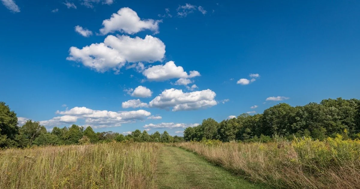 <p>one we draw as a kid</p>