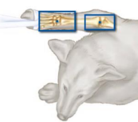 <p>which position?</p>
