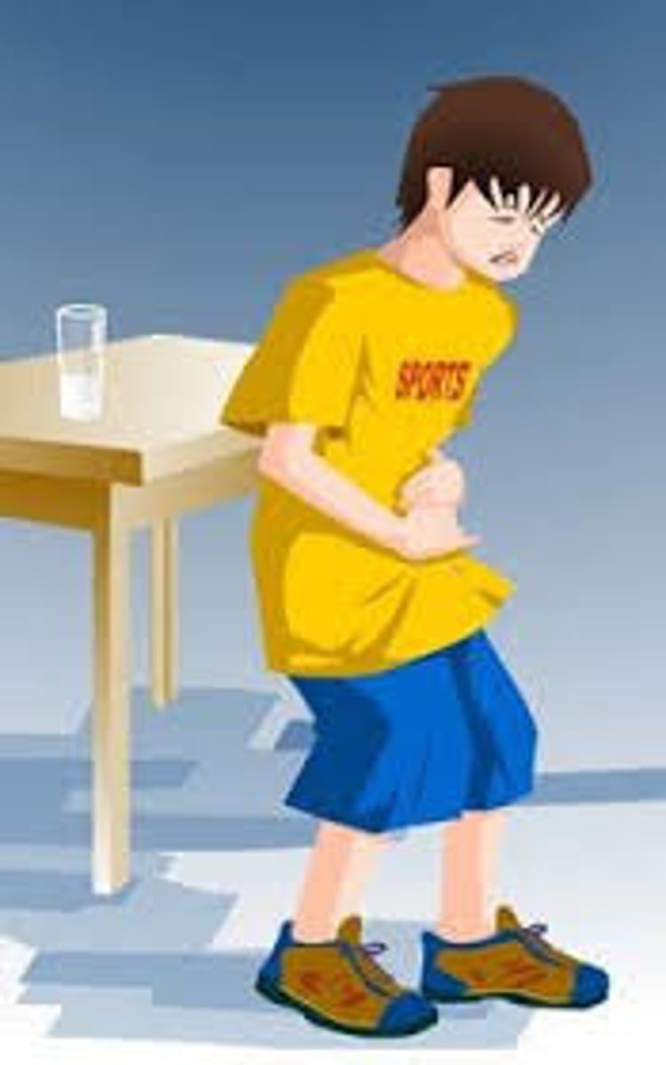 <p>chī huài</p><p>to get sick because of bad food</p>