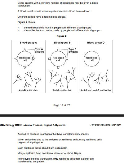 <p>Explain why blood group O red blood cells can be given to patients with any blood group.(2)</p>