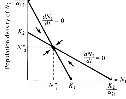 <p>What is the outcome of this phase plot?</p>