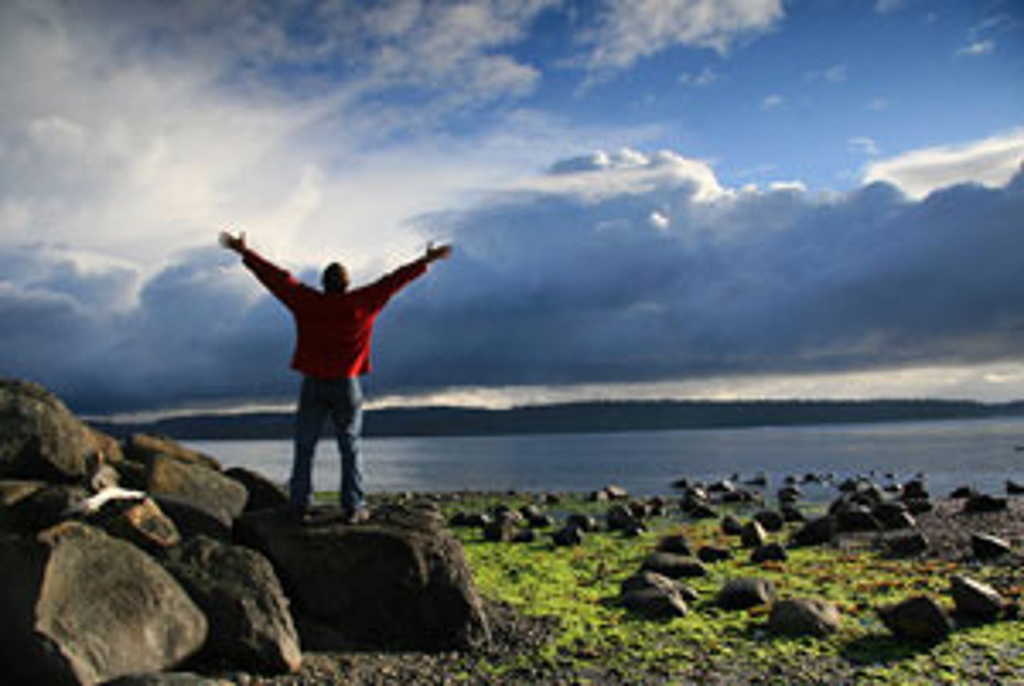 <p>To rejoice greatly</p>