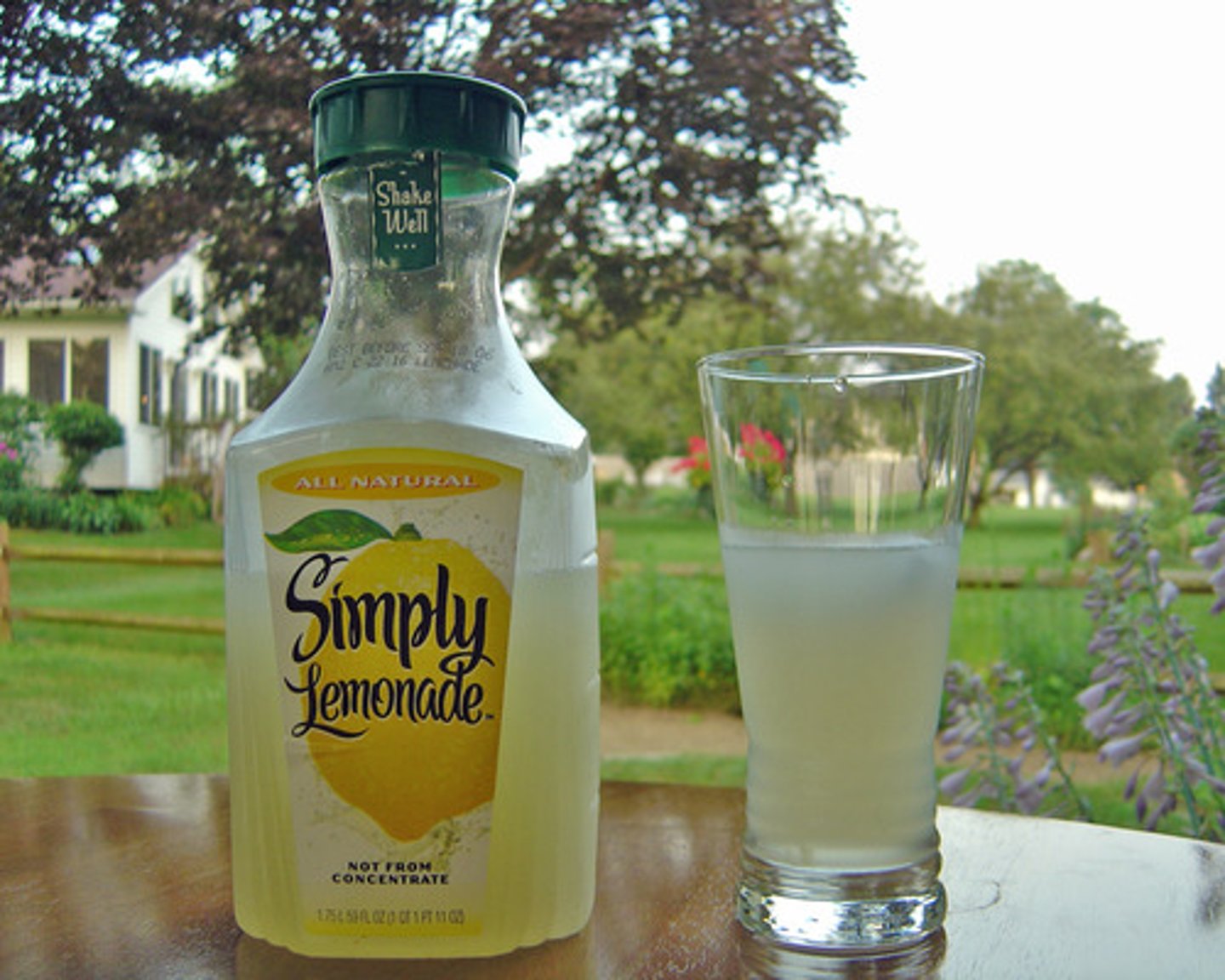 <p>Lemonade</p>