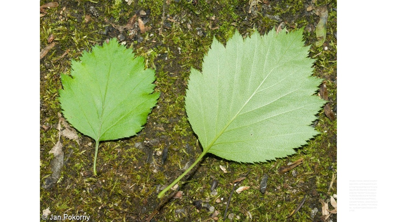 <p></p>
