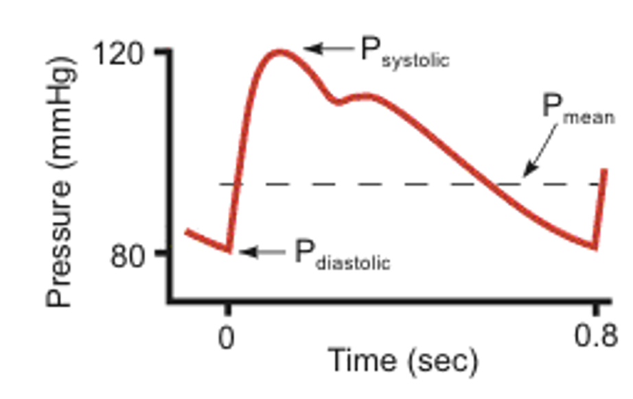 <ol><li><p>arterial compliance reduces</p><ul><li><p>e.g in atherosclerosis</p></li></ul></li><li><p>if blood flow away faster in diastole </p><ul><li><p>(i.e in exersise) </p><ul><li><p>due to TPR drops</p></li></ul></li><li><p>pathologically if valve leaks</p></li></ul></li><li><p>Age</p></li></ol><p></p><p>BUT ABP stays the same</p>
