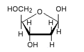 <p><span><strong>67</strong></span><span style="font-size: 7pt; font-family: "Times New Roman""><strong> </strong></span><span><strong>Is the following pentose (5-carbon sugar) a ribose or deoxyribose? Label the 1’, 2’ 3’, 4’ and 5’ carbon on the sugar ring; where does the pentose connect to the nitrogen base? Where does it connect to the phosphate?</strong></span></p>