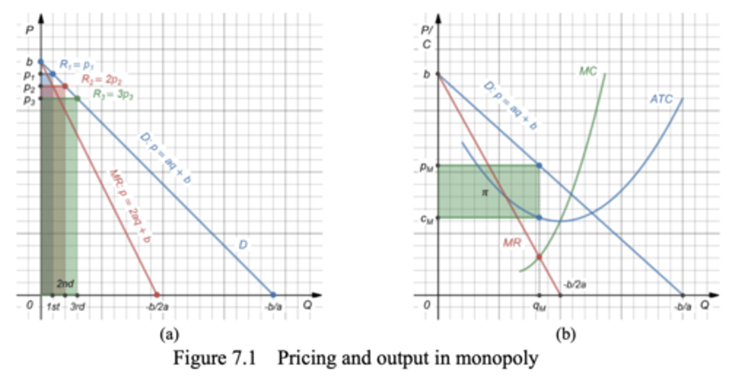 <p>- Downward slopping because their demand is the market demand</p><p>- Tradeoff between charging high prices and selling large quantities</p>