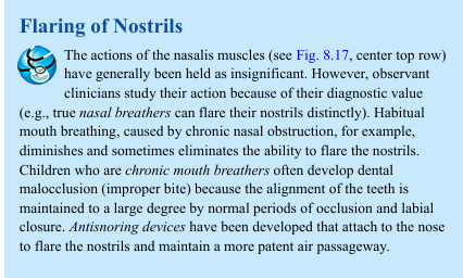<p>The actions of the nasalis muscles (see Fig. 8.17, center top row) have generally been held as insignificant. However, observant clinicians study their action because of their diagnostic value (e.g., true nasal breathers can flare their nostrils distinctly). Habitual mouth breathing, caused by chronic nasal obstruction, for example, diminishes and sometimes eliminates the ability to flare the nostrils. Children who are chronic mouth breathers often develop dental malocclusion (improper bite) because the alignment of the teeth is maintained to a large degree by normal periods of occlusion and labial closure. Antisnoring devices have been developed that attach to the nose to flare the nostrils and maintain a more patent air passageway.</p>
