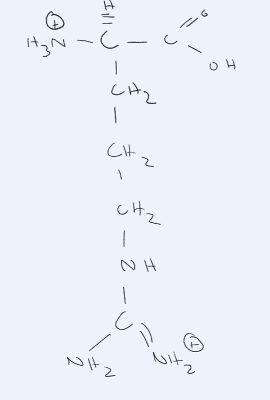 <p>What amino acid is this?</p>