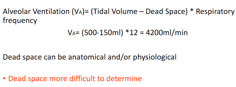 <p>Volume of fresh gas entering the respiratory zone each minute</p>