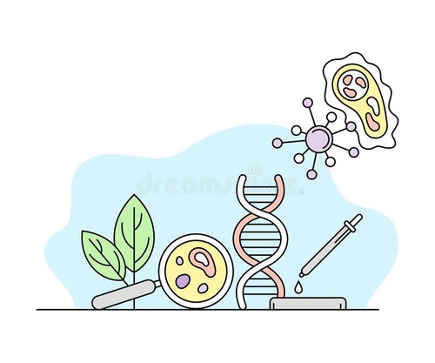 <p>biology</p>
